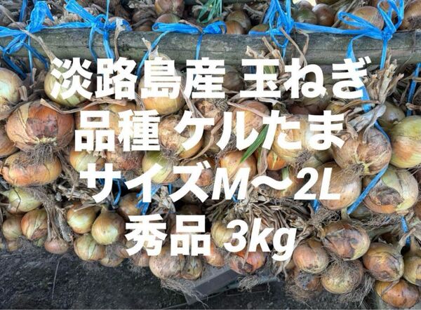 淡路島産 玉ねぎ 中晩生 品種 ケルたま 秀品 3kg サイズM~2L 無選別