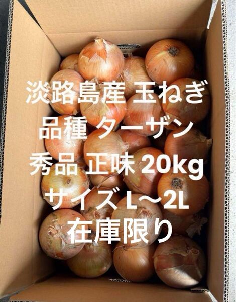 在庫限り 淡路島産 玉ねぎ L~2L 秀品 正味 20kg 品種 ターザン