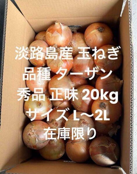 ラスト 淡路島産 玉ねぎ L~2L 秀品 正味 20kg 品種 ターザン