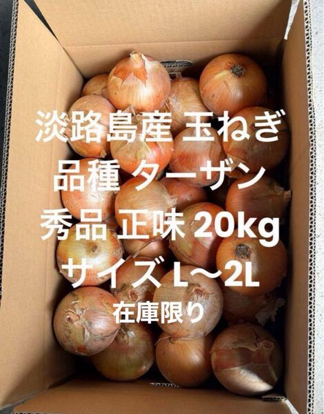 ラスト 淡路島産 玉ねぎ L~2L 秀品 正味 20kg 品種 ターザン