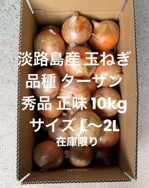 ラスト 淡路島産 玉ねぎ L~2L 秀品 正味 10kg 品種 ターザン