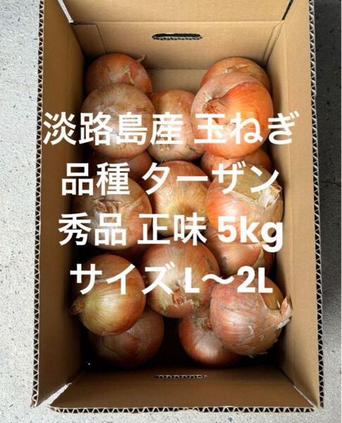 淡路島産 玉ねぎ L~2L 秀品 正味 5kg 品種 ターザン