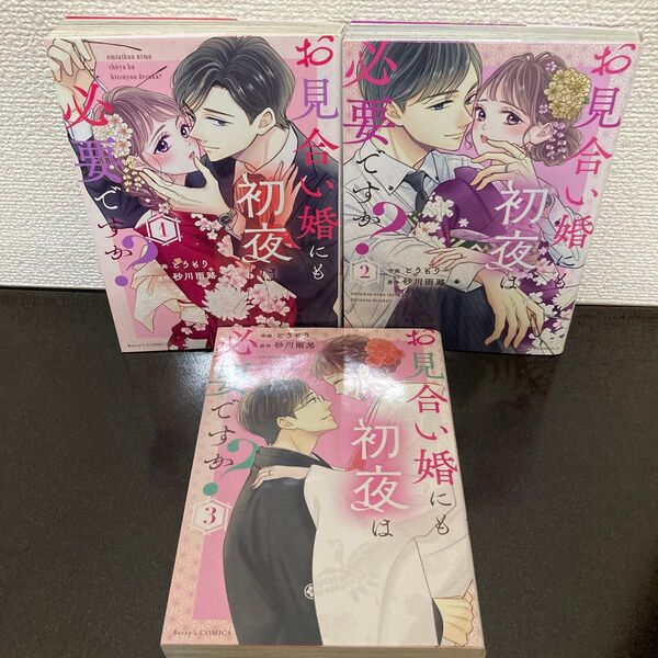 お見合い婚にも初夜は必要ですか?