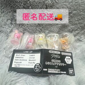 StrayKids SKZOO めじるしアクセサリー 5個セット