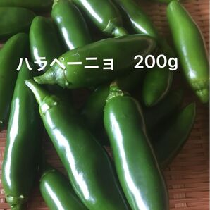 ハラペーニョ 200g
