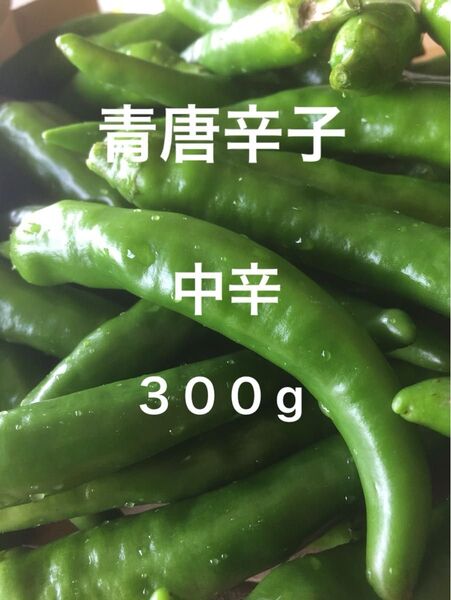 青唐辛子 中辛 300g