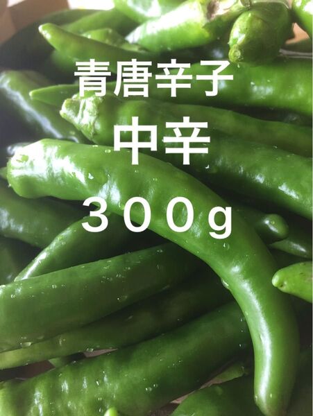 青唐辛子 中辛 300g