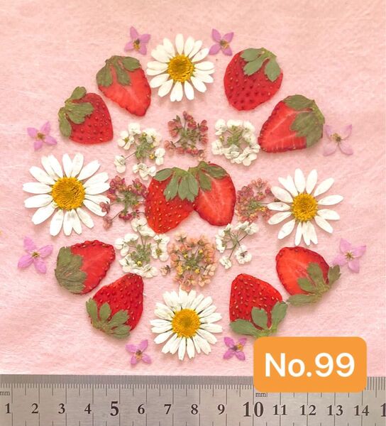 No.99 いちごと小花の押し花素材