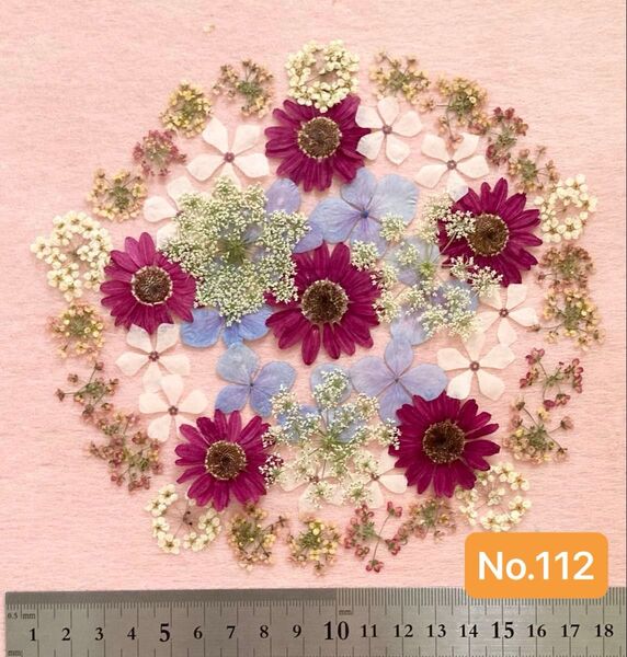 No.112 マーガレットと小花の押し花素材