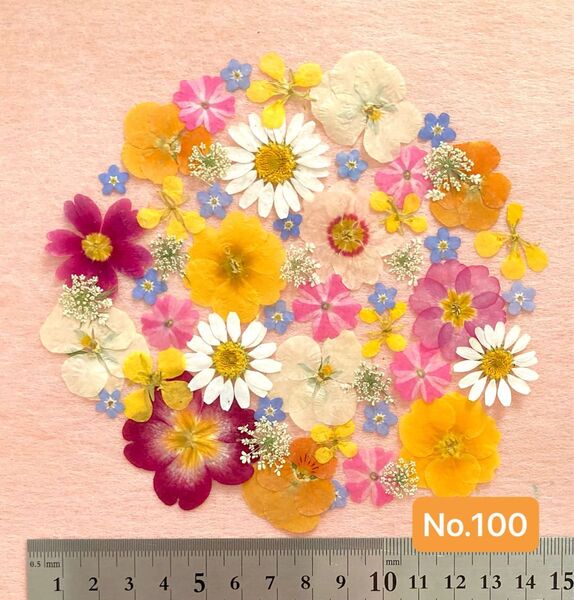 No.100 アソート押し花素材