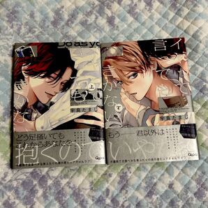 イヤって言ってもきかないで 上・下巻
