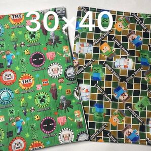 ランチマット☆2枚セット