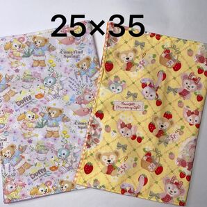 ランチマット☆2枚セット