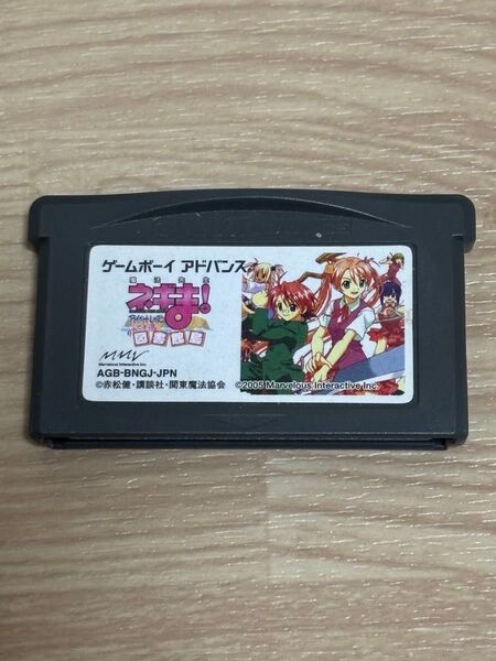 ゲームボーイ アドバンス ネギま プライベートレッスン 図書館島 ソフトのみ GBA