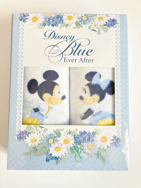 ディズニーランド限定 今治ミニタオルセット