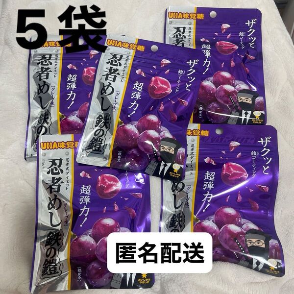UHA味覚糖 忍者めし 鉄の鎧 グレープ味