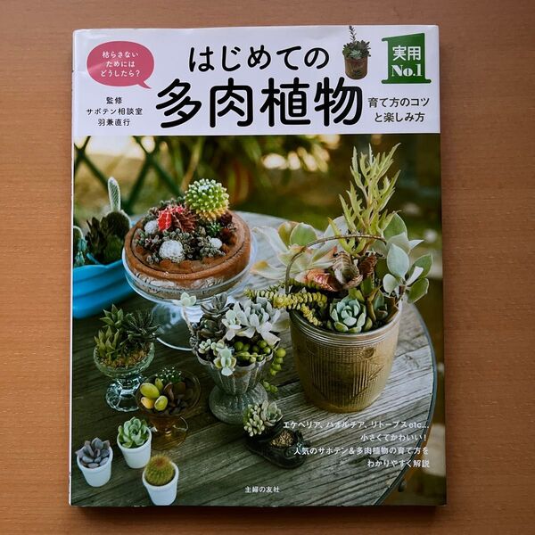 はじめての多肉植物 育て方のコツと楽しみ方