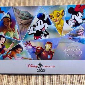 Disney100YEARS of WONDER【限定ピンバッジ】 未使用品