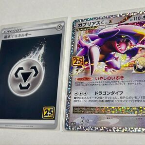 ポケモンカードゲーム【カード名】ガブリアスC Lv.X &基本エネルギー