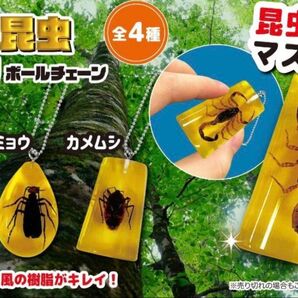 リアル昆虫リハクキーホルダー