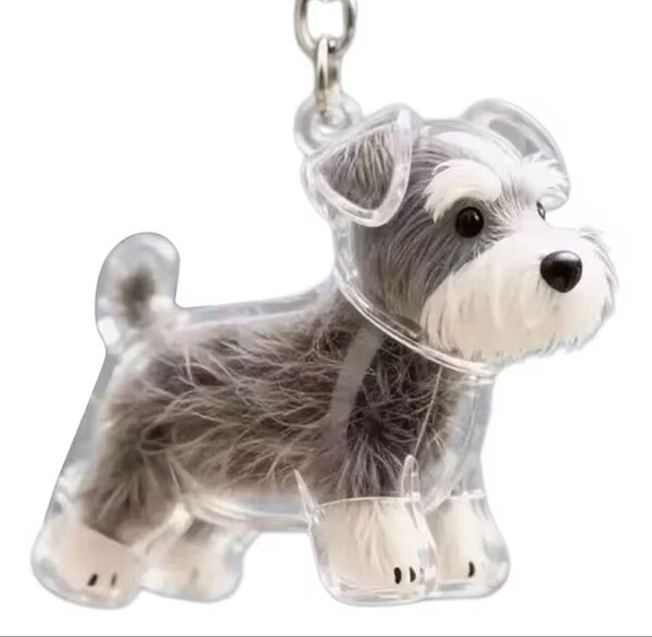 未使用 新品 けだまだま 犬 シュナウザー 犬キーホルダー 毛 メモリアル 透明ケース 2
