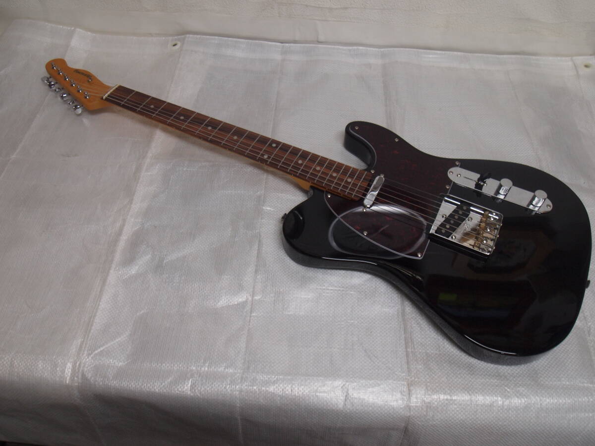2025年最新】Yahoo!オークション -history ギター(本体)の中古品