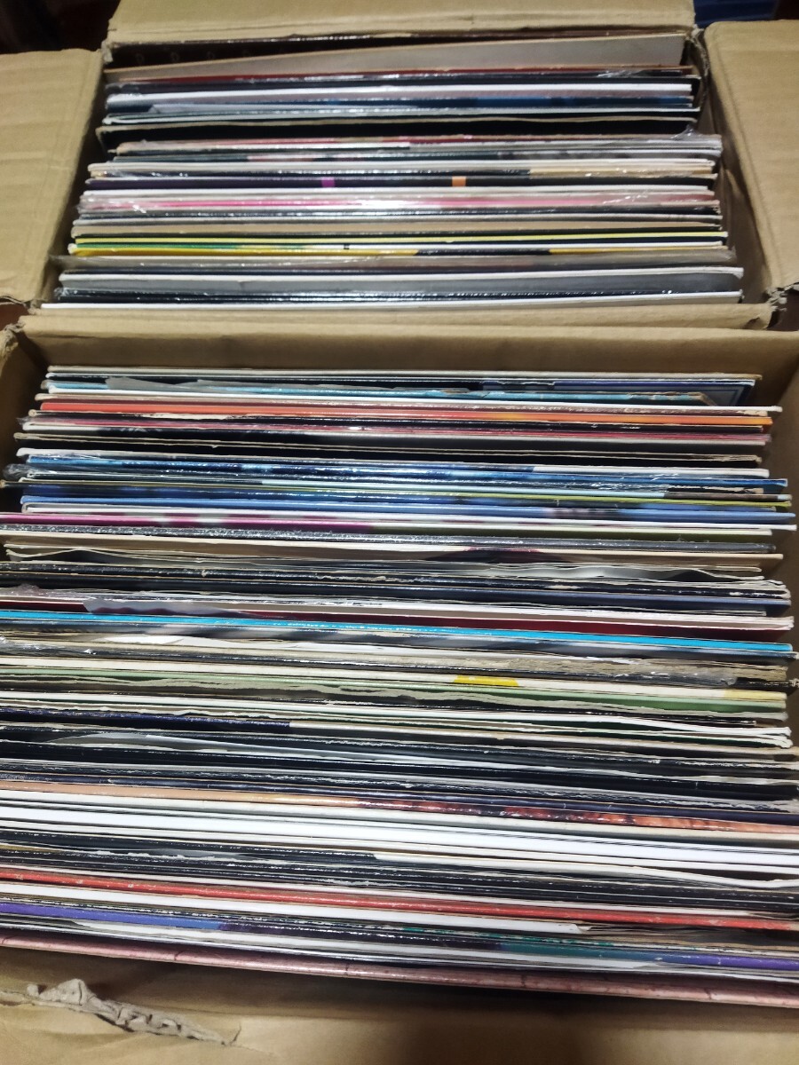 ハウス【80枚程度】TF0112−11　LPレコード　大量　クラブ　HOUSE 森のクラブハウス Phase_1 | Works | ondesign