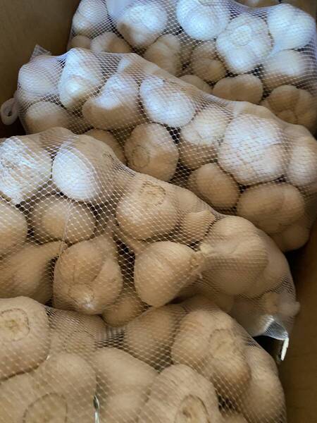 青森県産 にんにく10㌔ S