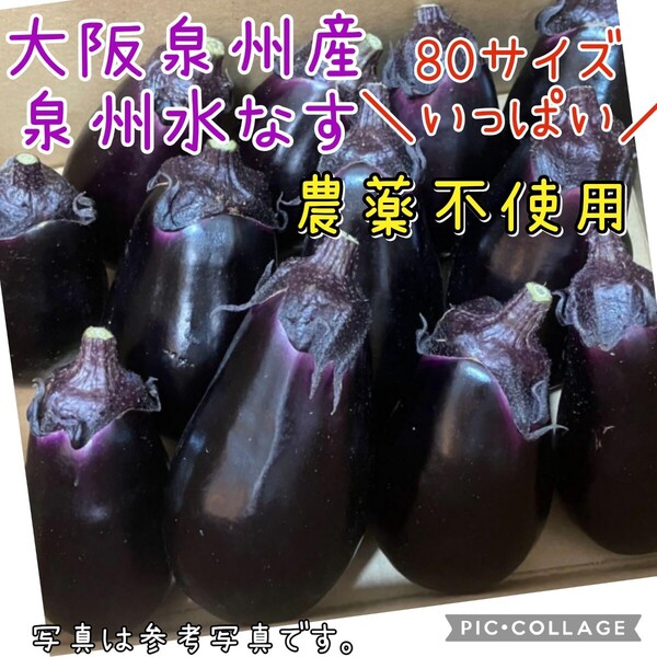 大阪泉州産 泉州水なす 農薬不使用 80サイズいっぱい