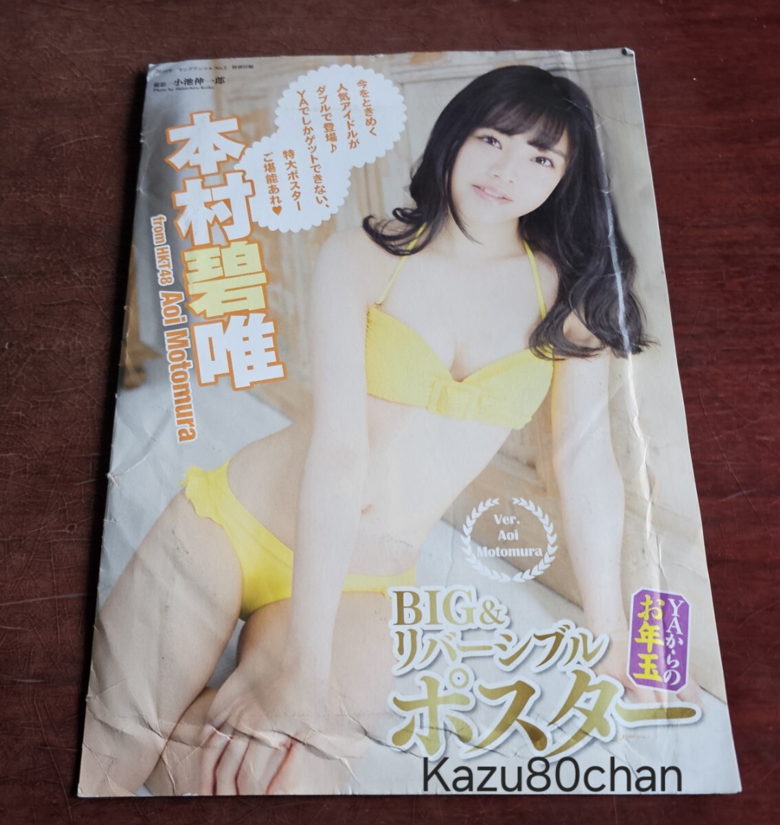 【完全未開封】ヤングアニマル 2015年9月11日 No.17 宮脇咲良【限定】 2025年最新】Yahoo!オークション -宮脇咲良 クリアファイル