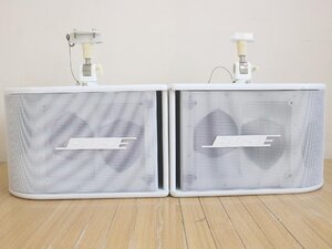 ^BOSE Bose динамик пара LOUDSPEAKER 500PM белый