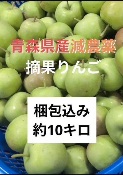 青森県産 減農薬 摘果りんご 小さめ 梱包込み 約10キロ