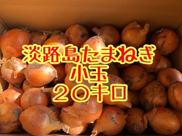 【小玉20キロ】淡路島たまねぎ 玉ねぎ ターザン