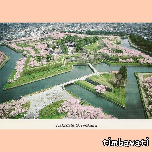 ☆新品☆【日本】ポストカード 北海道 五稜郭 春 桜 *291*