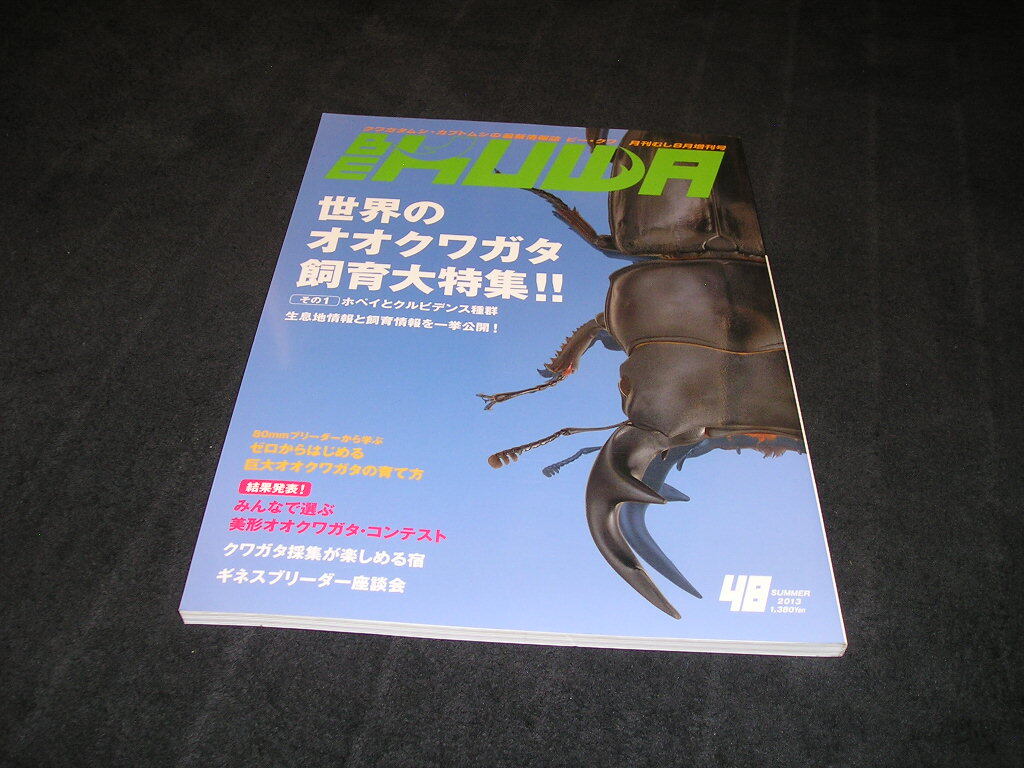 BEKUWA ビークワ　54〜84セット BE-KUWA | D.D.A ism