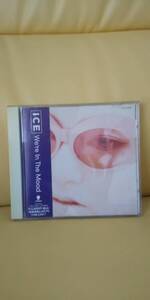 We're In The Mood/ICE