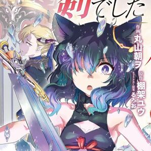 転生したら剣でした 17