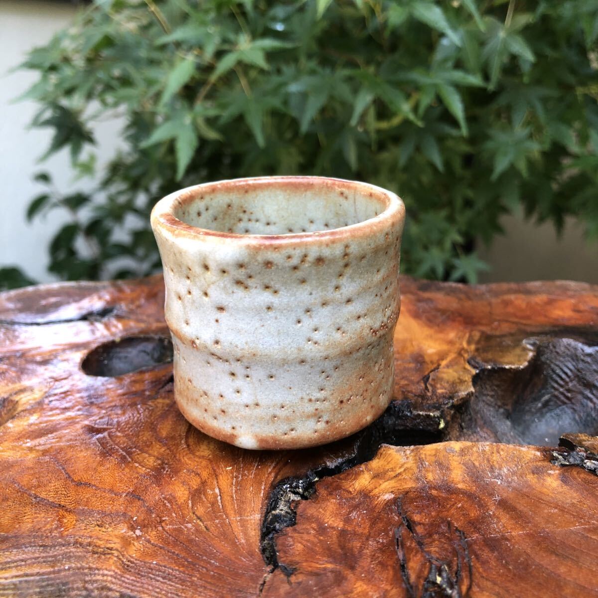 Yahoo!オークション -「杯 盃」(陶磁一般) (日本の陶磁)の落札