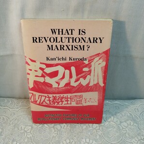 革命的マルクス主義とは何か?