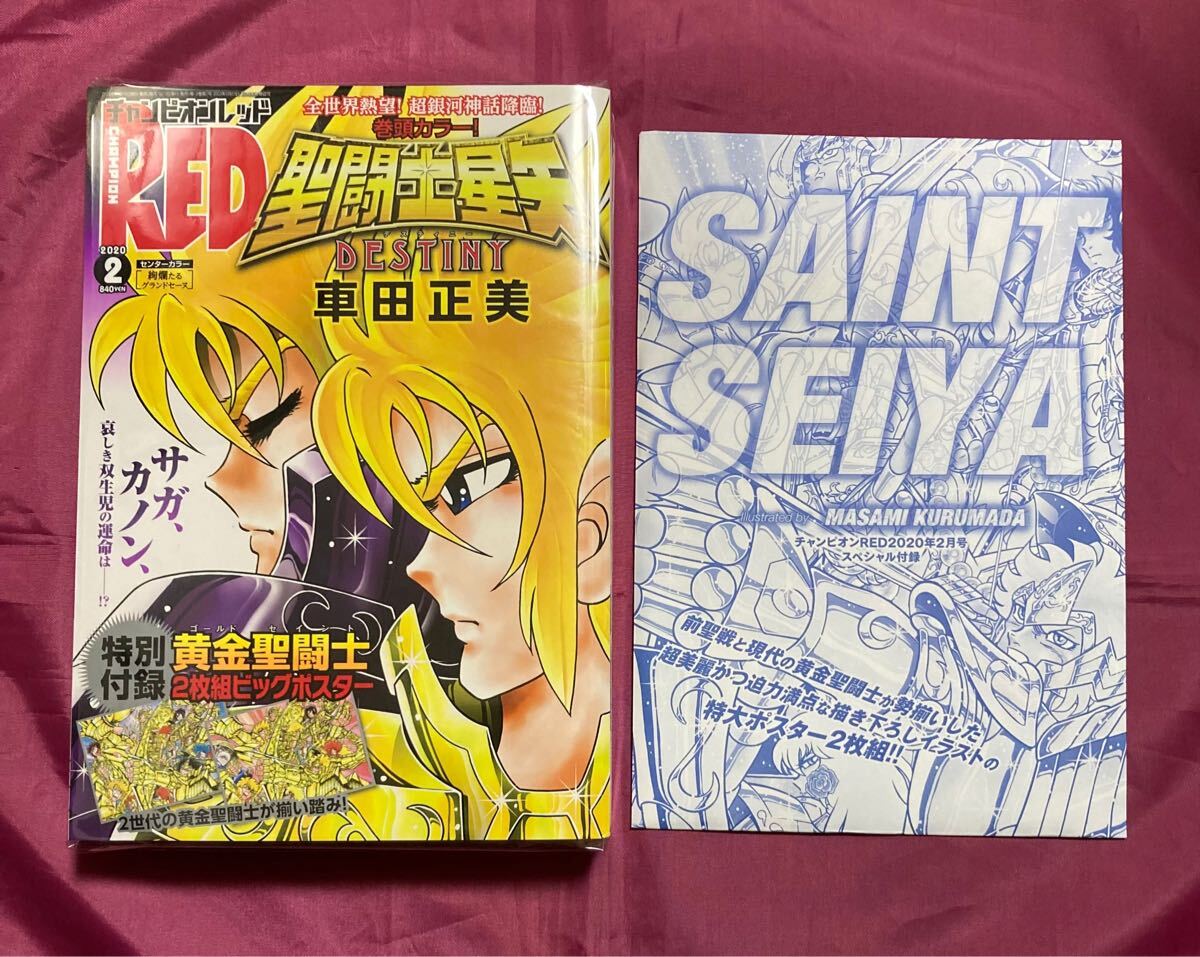 2025年最新】Yahoo!オークション -チャンピオンred 聖闘士星矢の