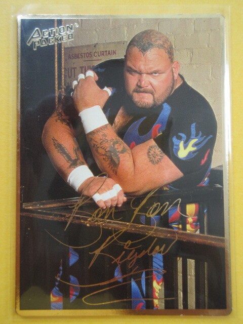 WWE クラシック9 バンバンビガロ WWE バンバンビガロ フィギュア プロレス｜Yahoo!フリマ（旧