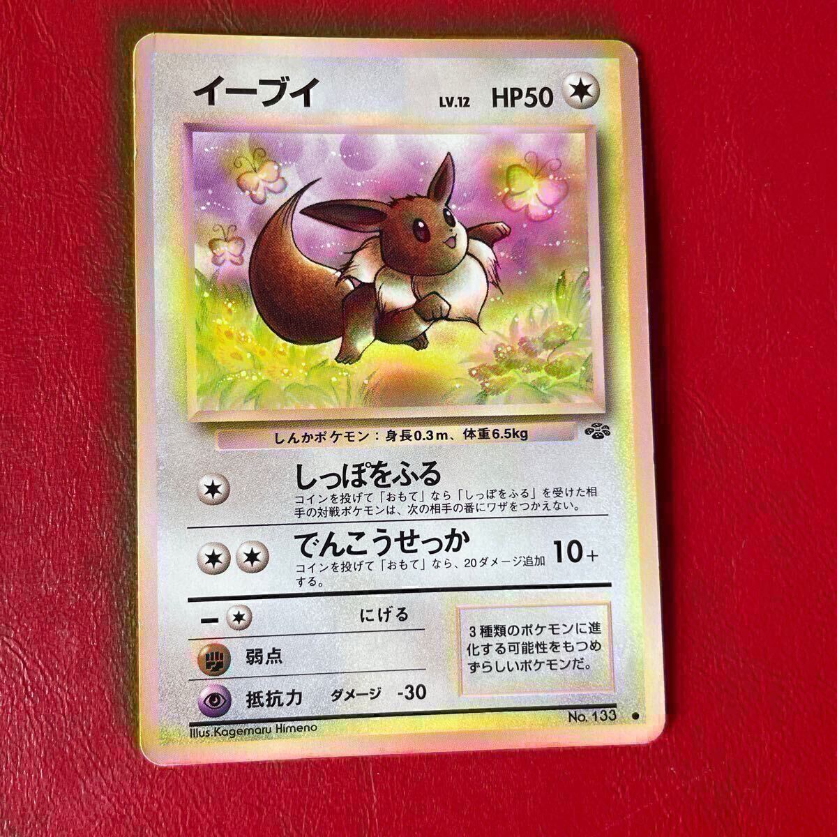5枚 イーブイ 進化 ポケモンカード 未使用 美品 旧裏面 ブイズ 2025年最新】Yahoo!オークション -ポケモンカード 旧裏面