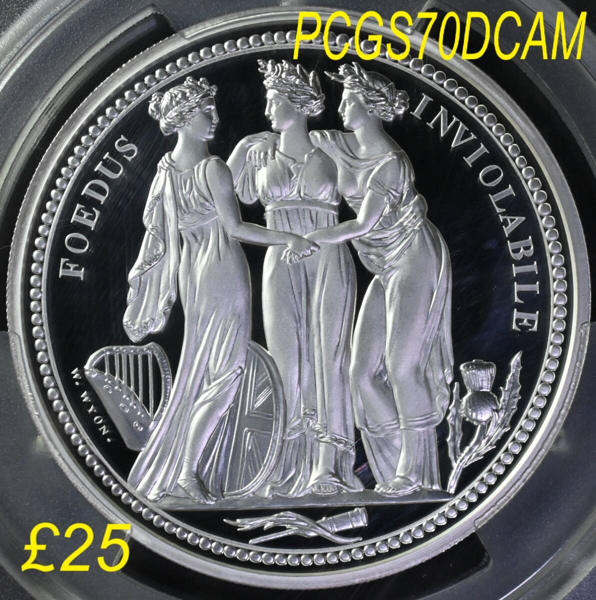 【米軍実物】FSR ファーストストライク First Strike 特殊部隊用 2025年最新】Yahoo!オークション -first strikeの中古品・新品