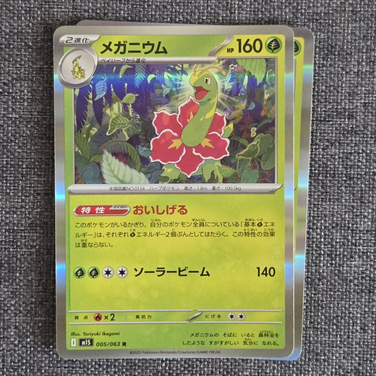 ポケモンカード R ノーマル まとめ売り 約18000枚 約29.5kg分 2025年最新】Yahoo!オークション -まとめ売り カードの中古品