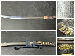 短刀 26.2cm 樋入り平造短刀 石目地塗り 蜂図揃い縁頭 伊勢海老図小柄 刀装具 日本刀 武具 真剣 霧箱入り 登録証有り 25.8/fm.TS