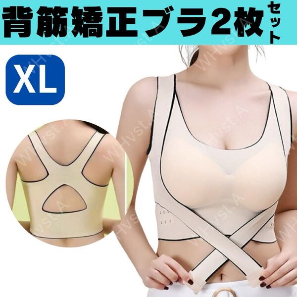 XL 猫背矯正ブラ 2枚セット ベージュ ナイトブラ 補正ブラ 育乳ブラ ノンワイヤー