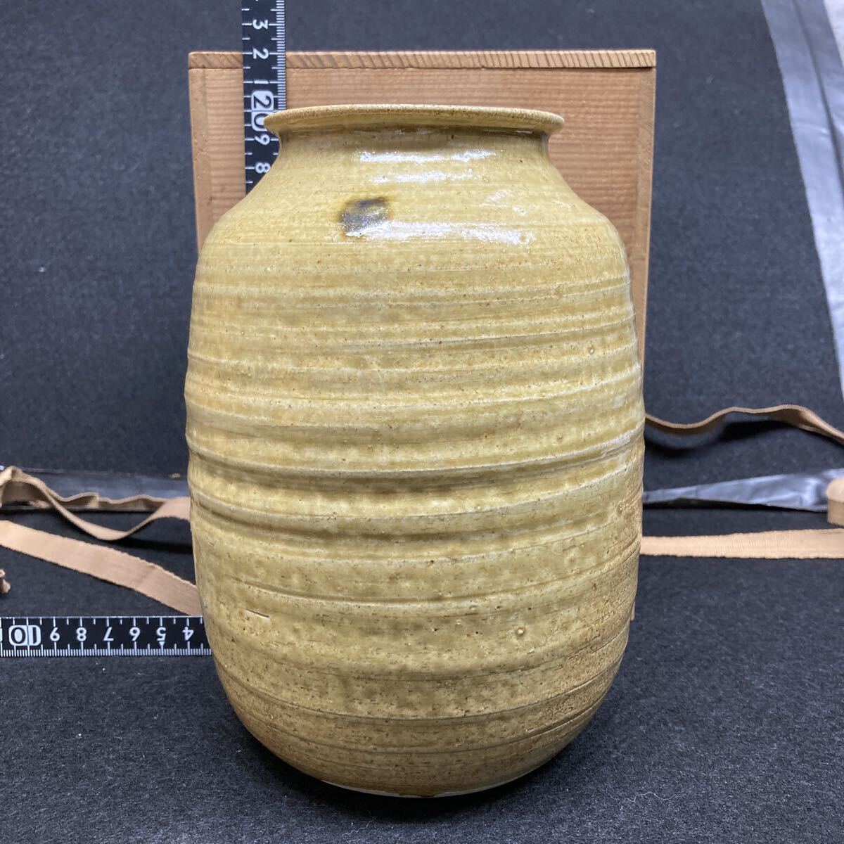 瀬戸焼　黄瀬戸　古瀬戸　鉢　時代箱　C　R7903C 瀬戸焼 黄瀬戸 古瀬戸 鉢 時代箱 C R7903C 2025年最新】黄瀬戸