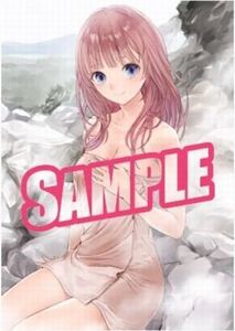 PS4 ルルアのアトリエ アーランドの錬金術士4 ソフマップ特典 ロロナ B2タペストリー