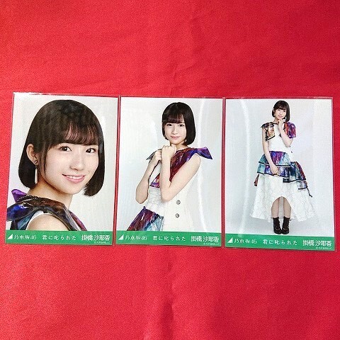 掛橋沙耶香 会場生写真フルコンプ 乃木坂46 生写真 乃木坂46 生写真 コンプ セットアップ 掛橋沙耶香 ヨリ チュウ