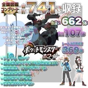 ★ポケットモンスター ホワイト★ポケモン 中古ソフト DS
